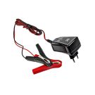 Green Cell Laturi 6V / 12V -1A